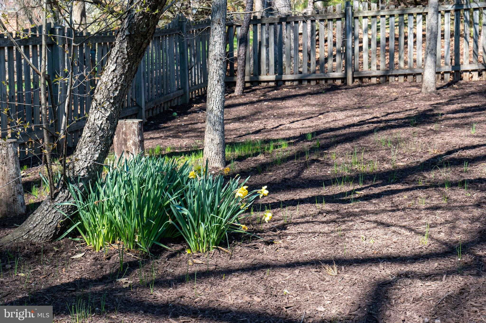 3006 Franklin Corner Ln photo 55