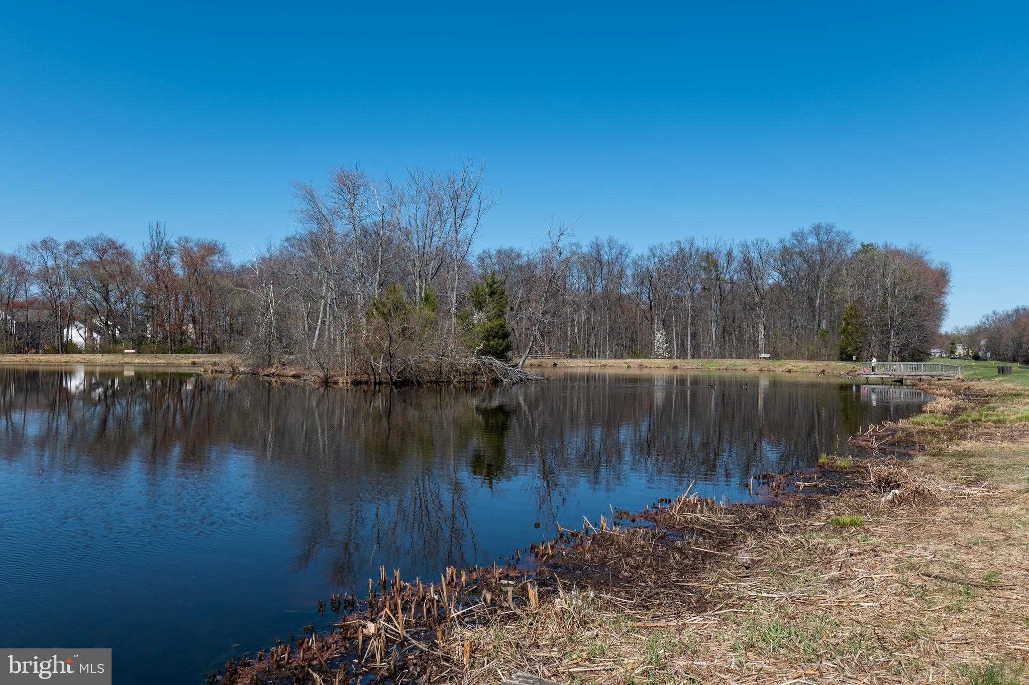 3006 Franklin Corner Ln photo 62