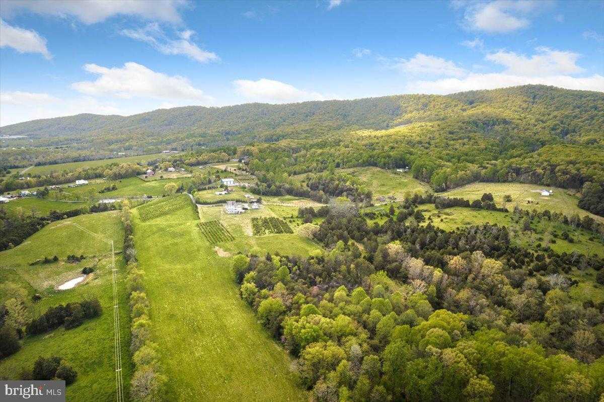 278 Little Mountain Ln photo 67