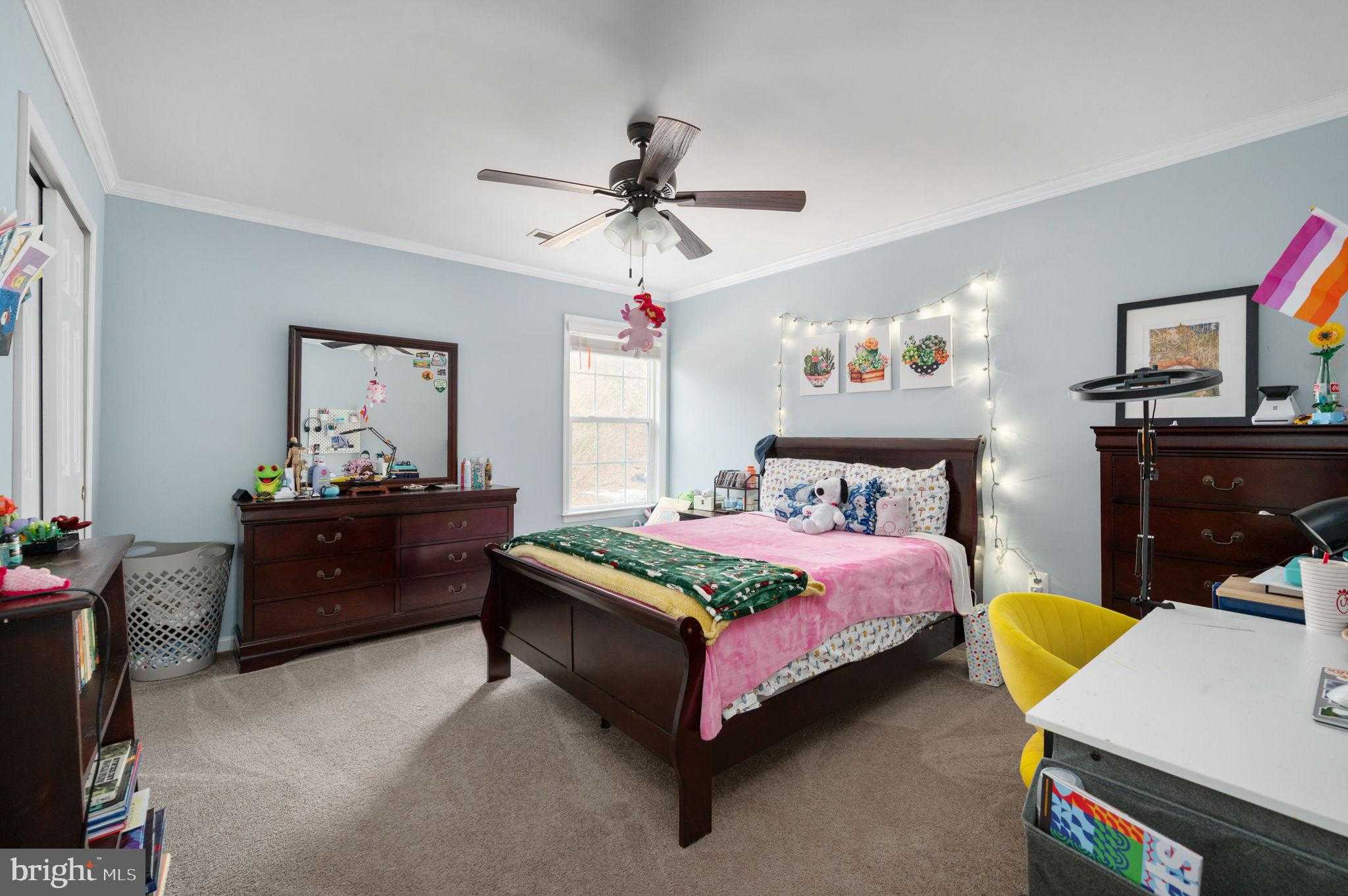 3623 Carolina CT photo 61