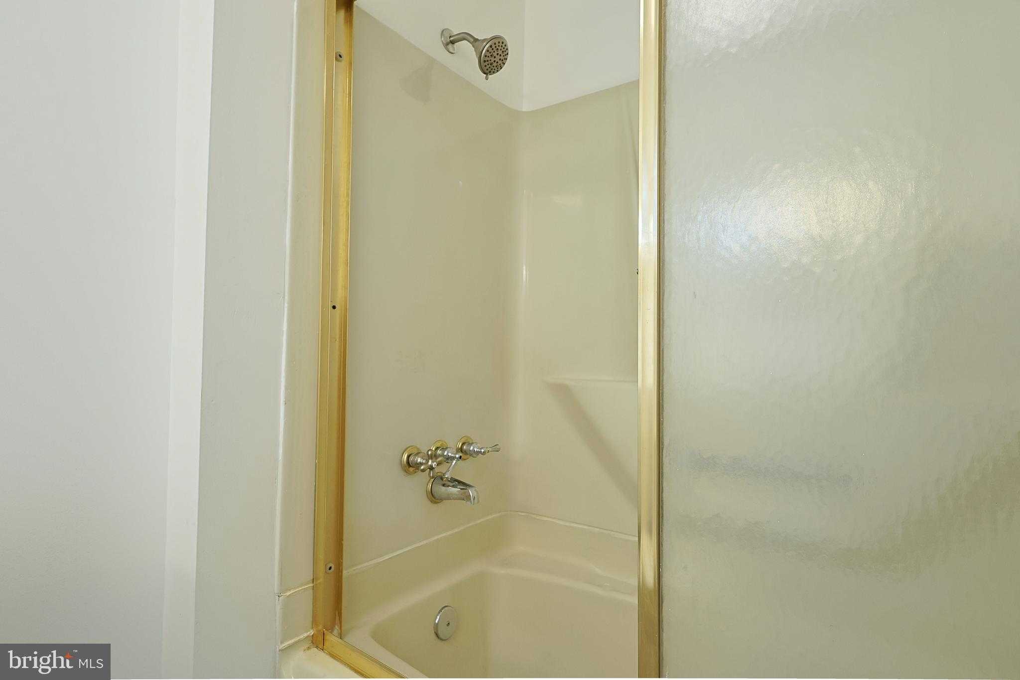 409 Springdale St photo 47