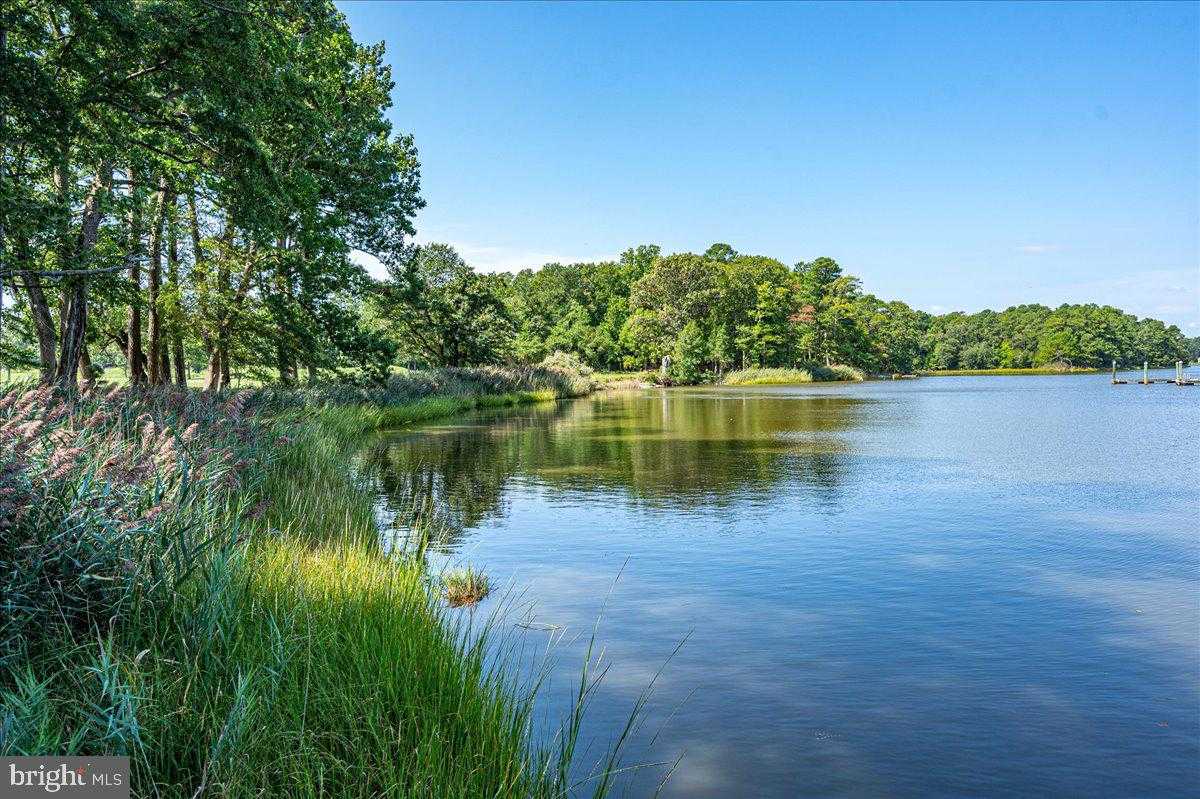 12736 Carnouste Ln Unit 1 photo 56