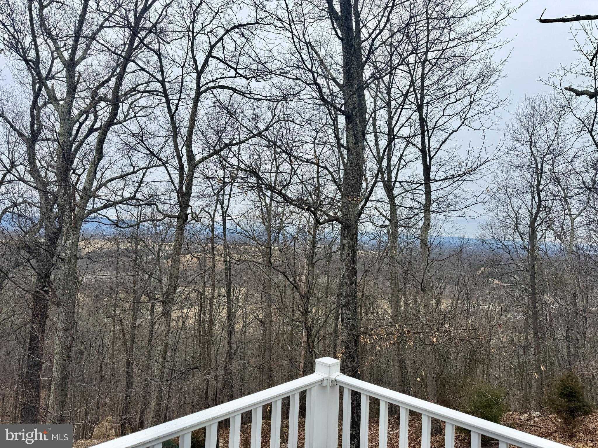 664 Brandy Rd photo 15