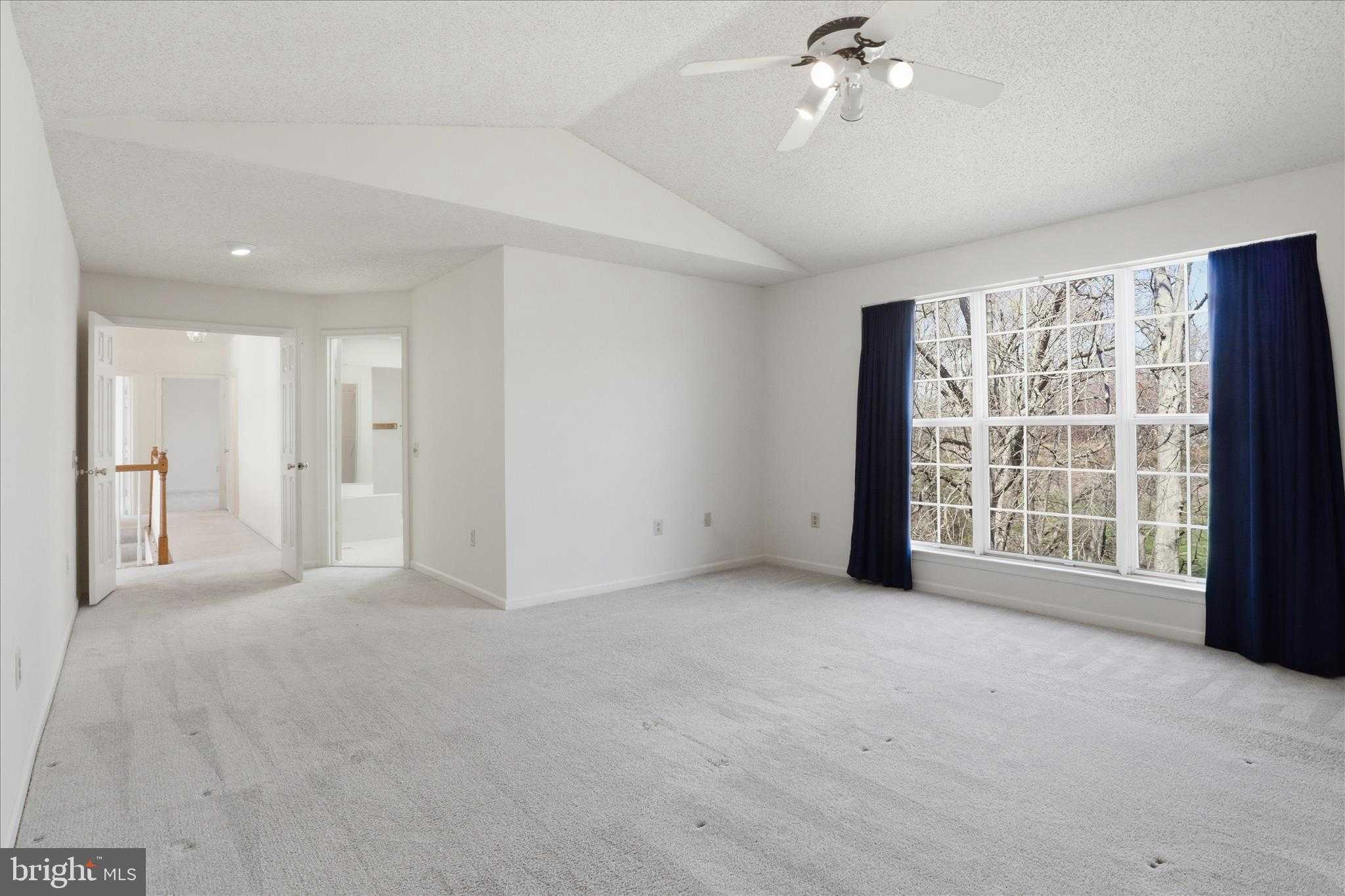 13201 Mountain Ash CT photo 32