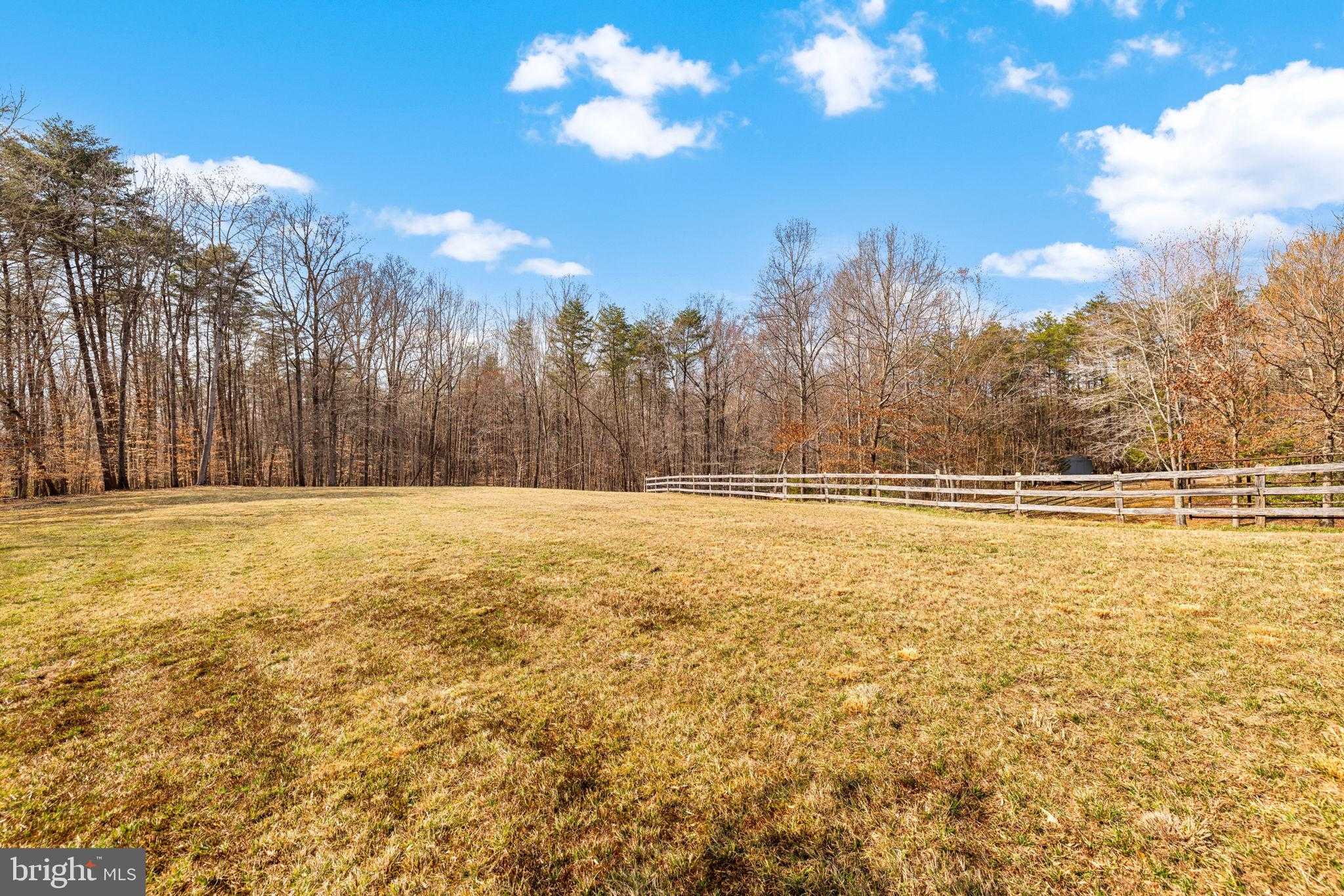 11531 Mamie Ln photo 49