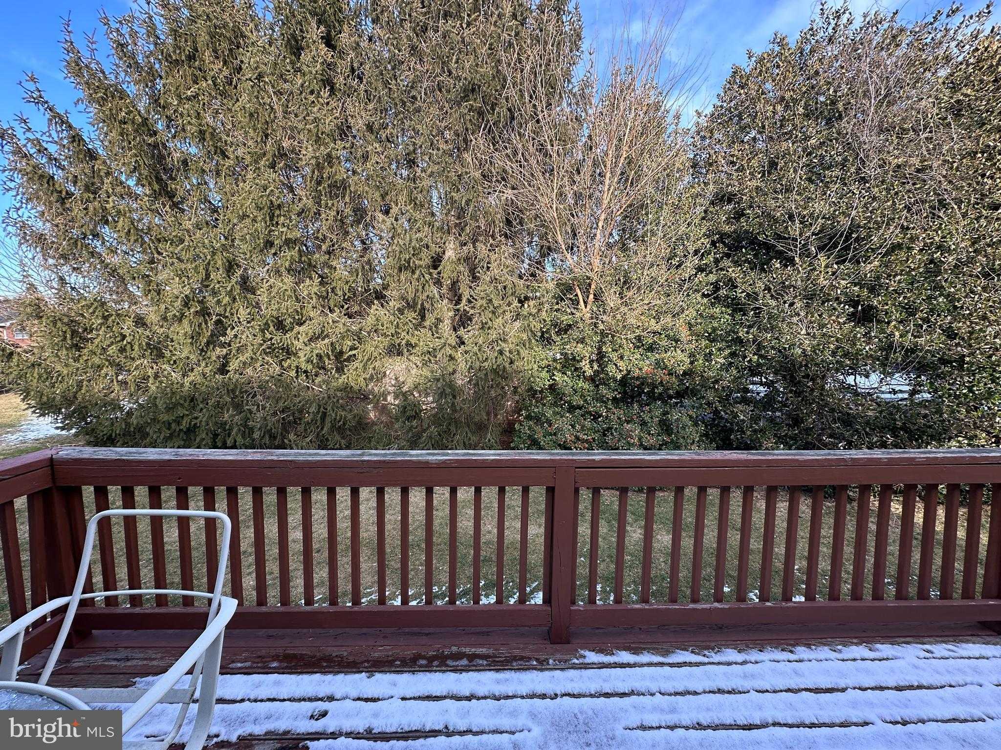 23 Homestead Dr photo 14