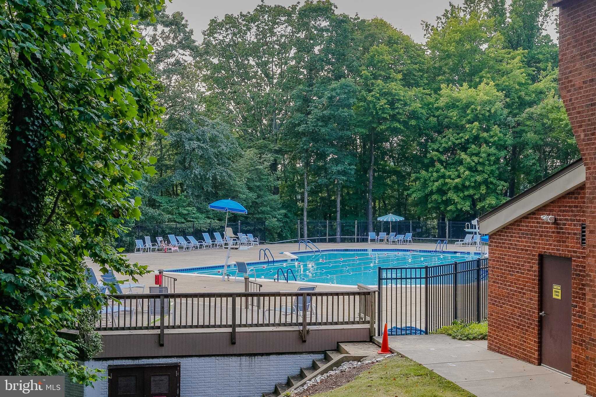 2568 Forest Knl photo 59