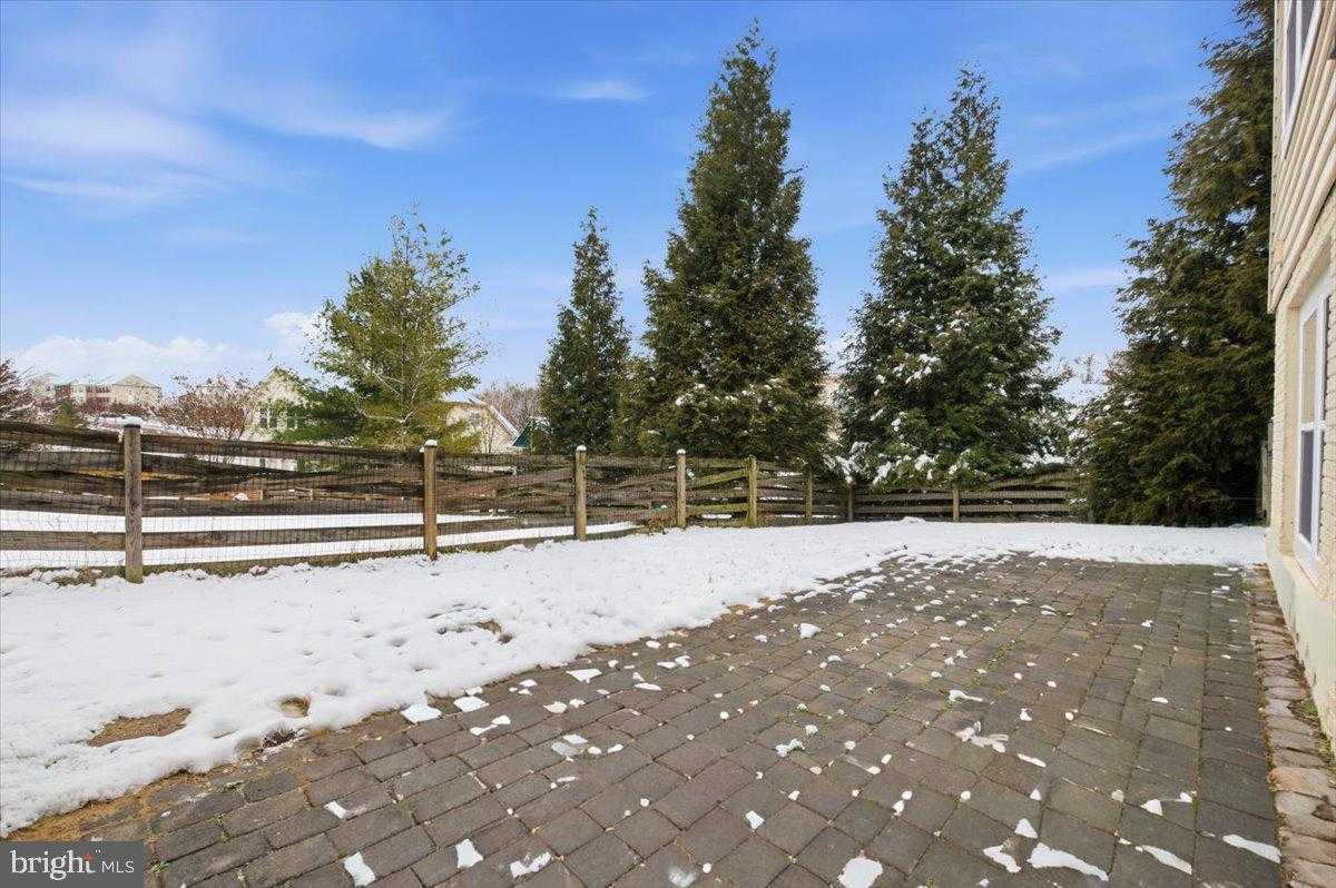 4103 Tottenham St photo 60