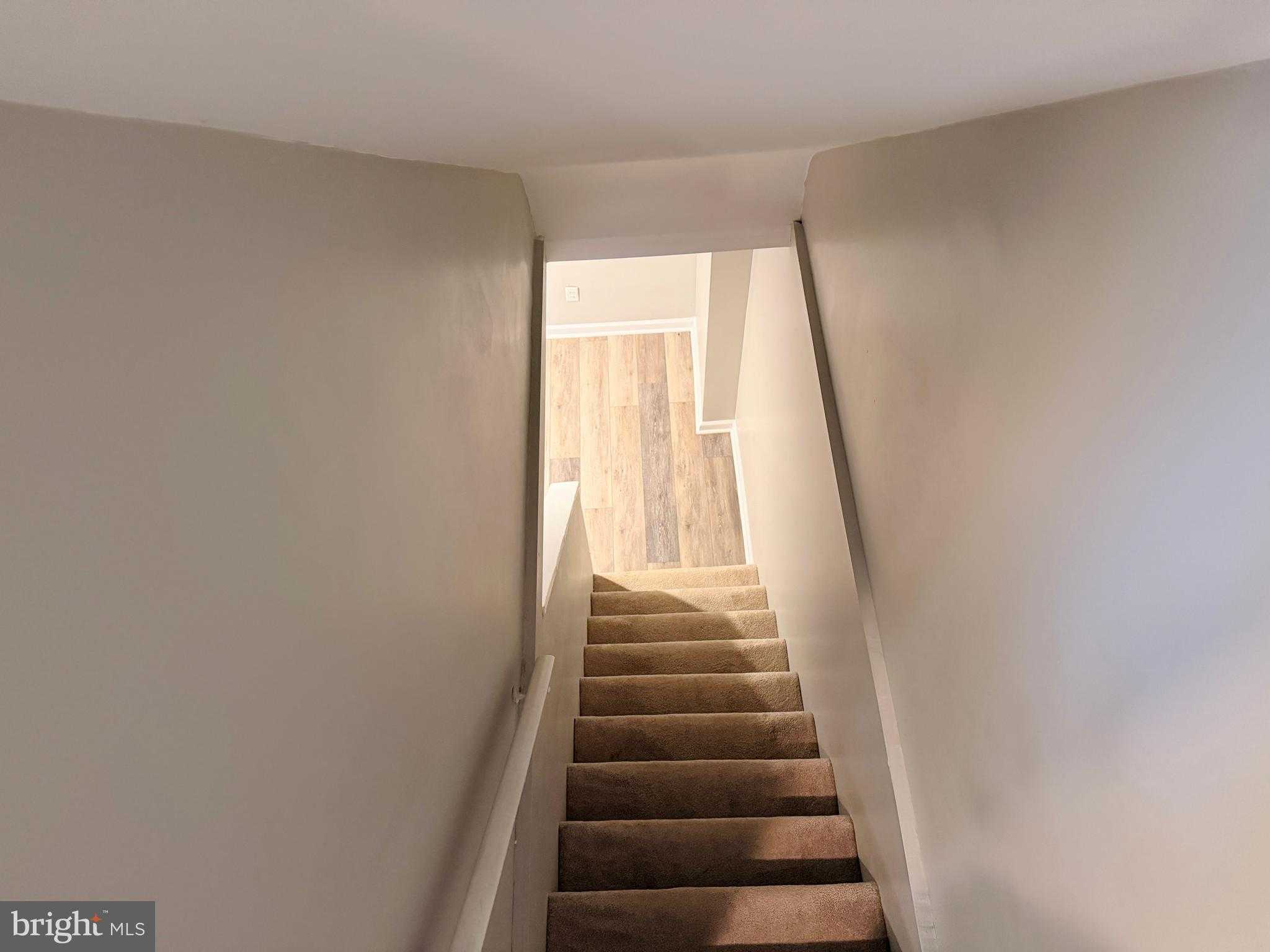 3907 Rexmere Rd photo 43