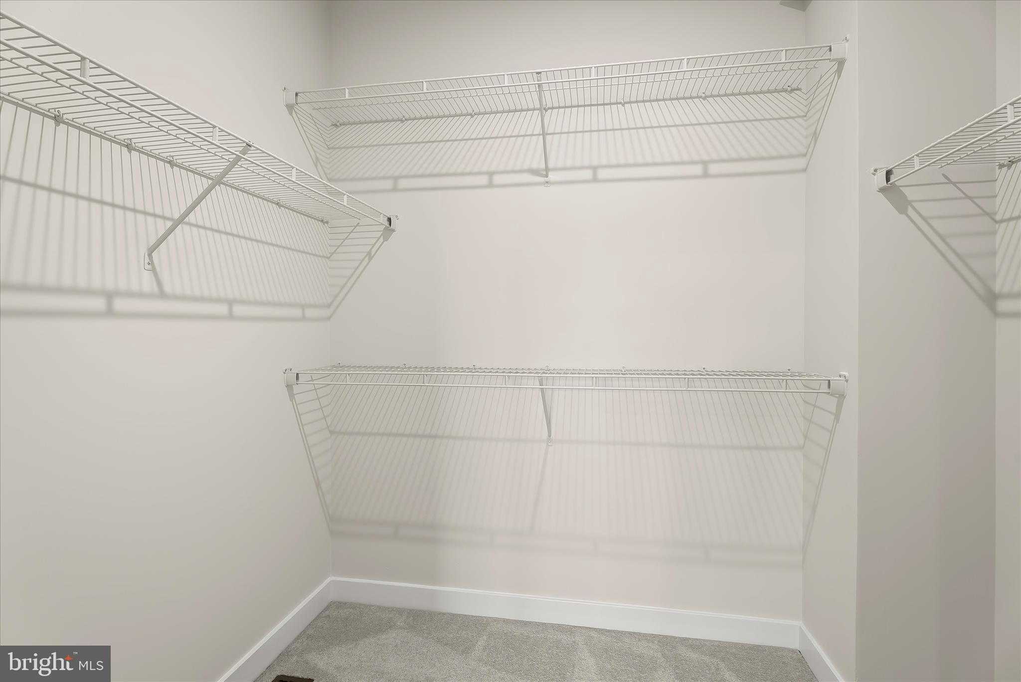 6072 Fallfish CT photo 41