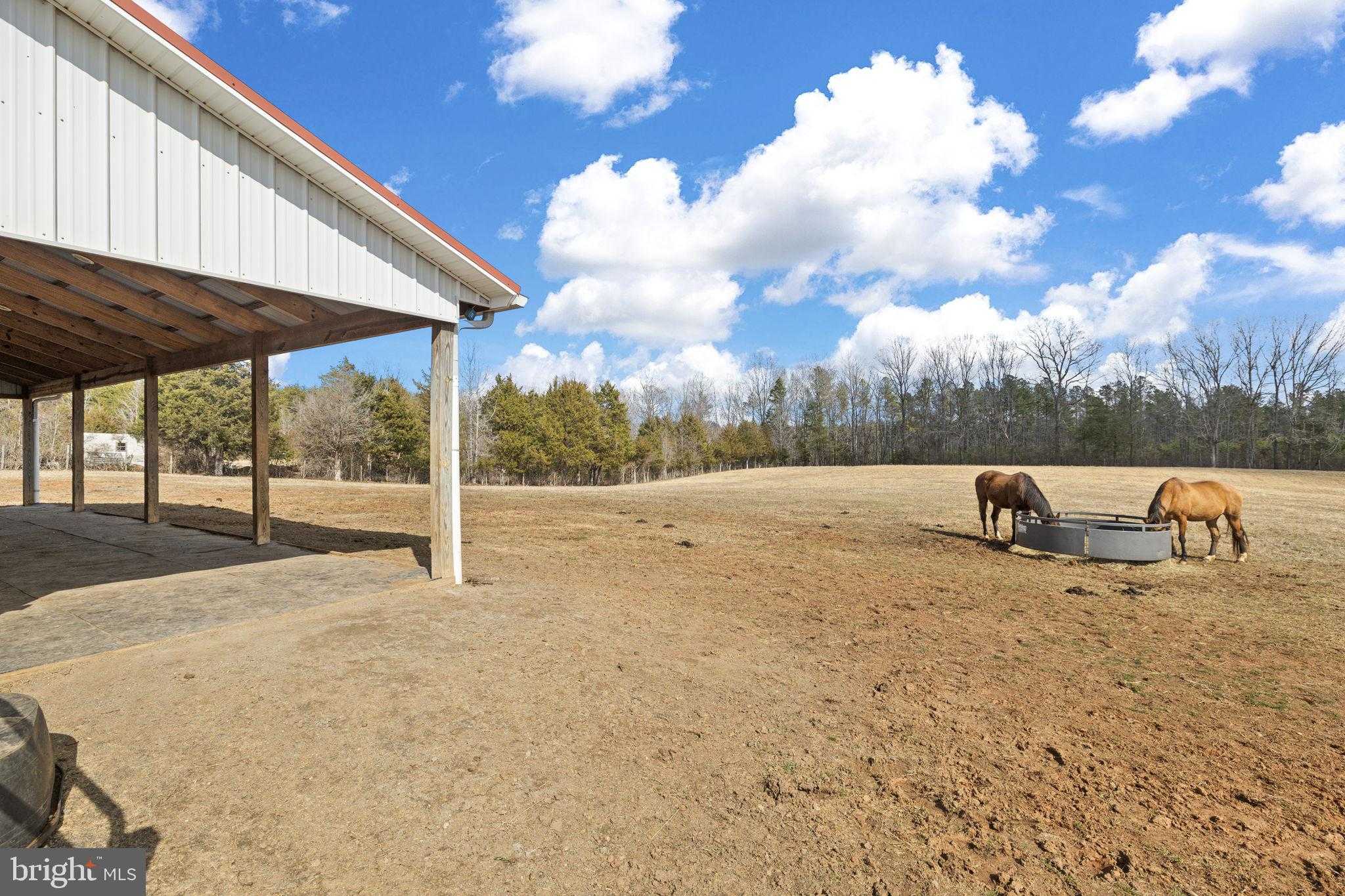 1815 Country Rd photo 64