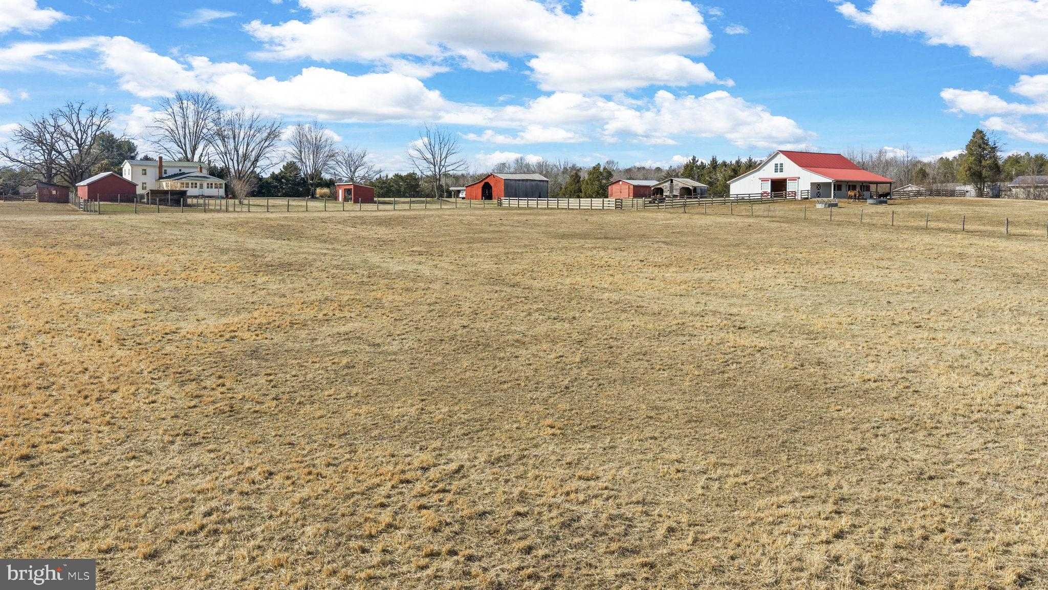 1815 Country Rd photo 97