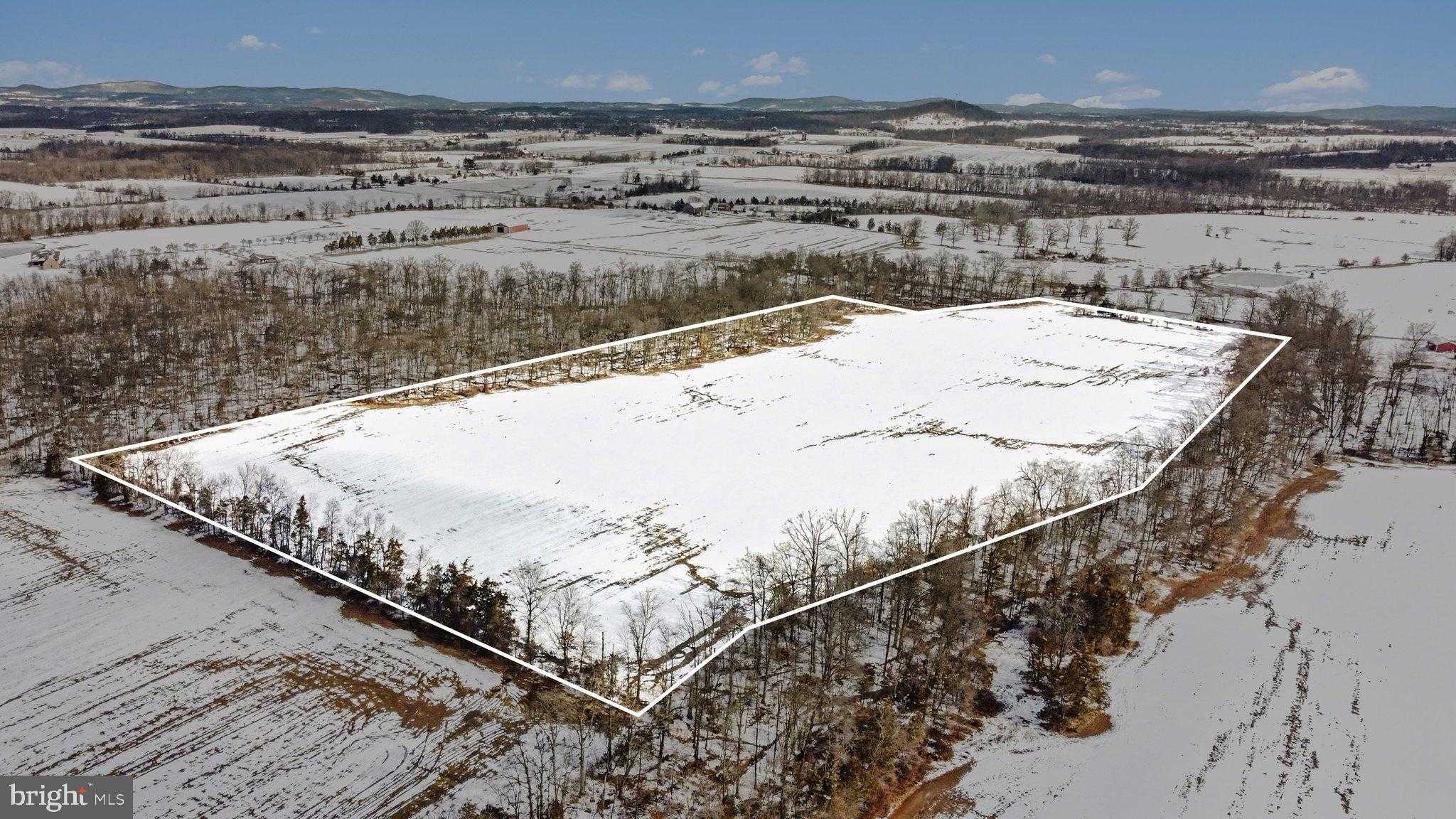 298 Tapeworm Rd photo 12