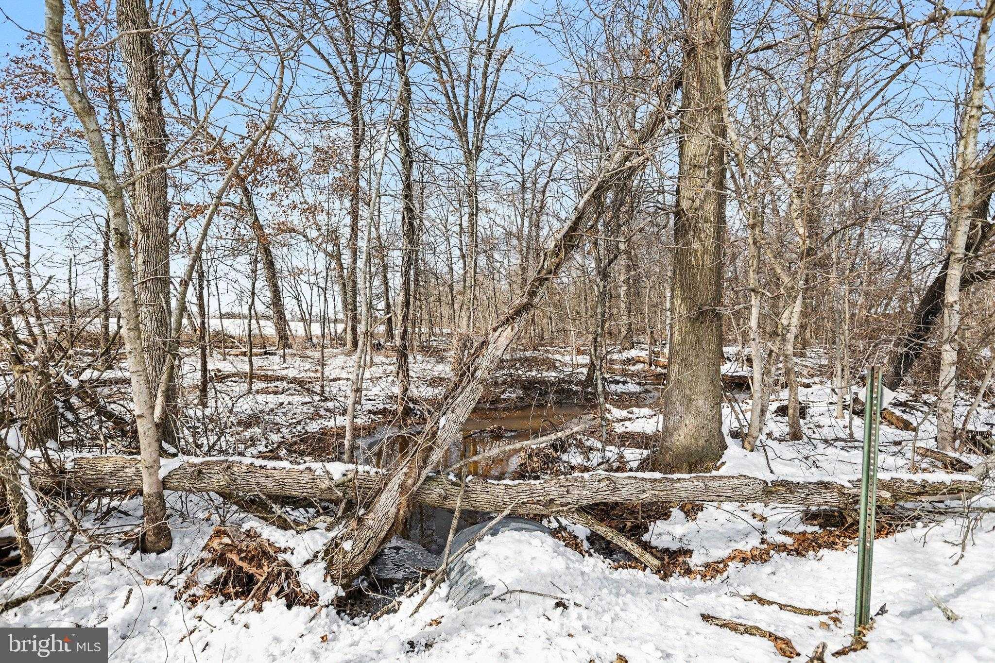 298 Tapeworm Rd photo 4