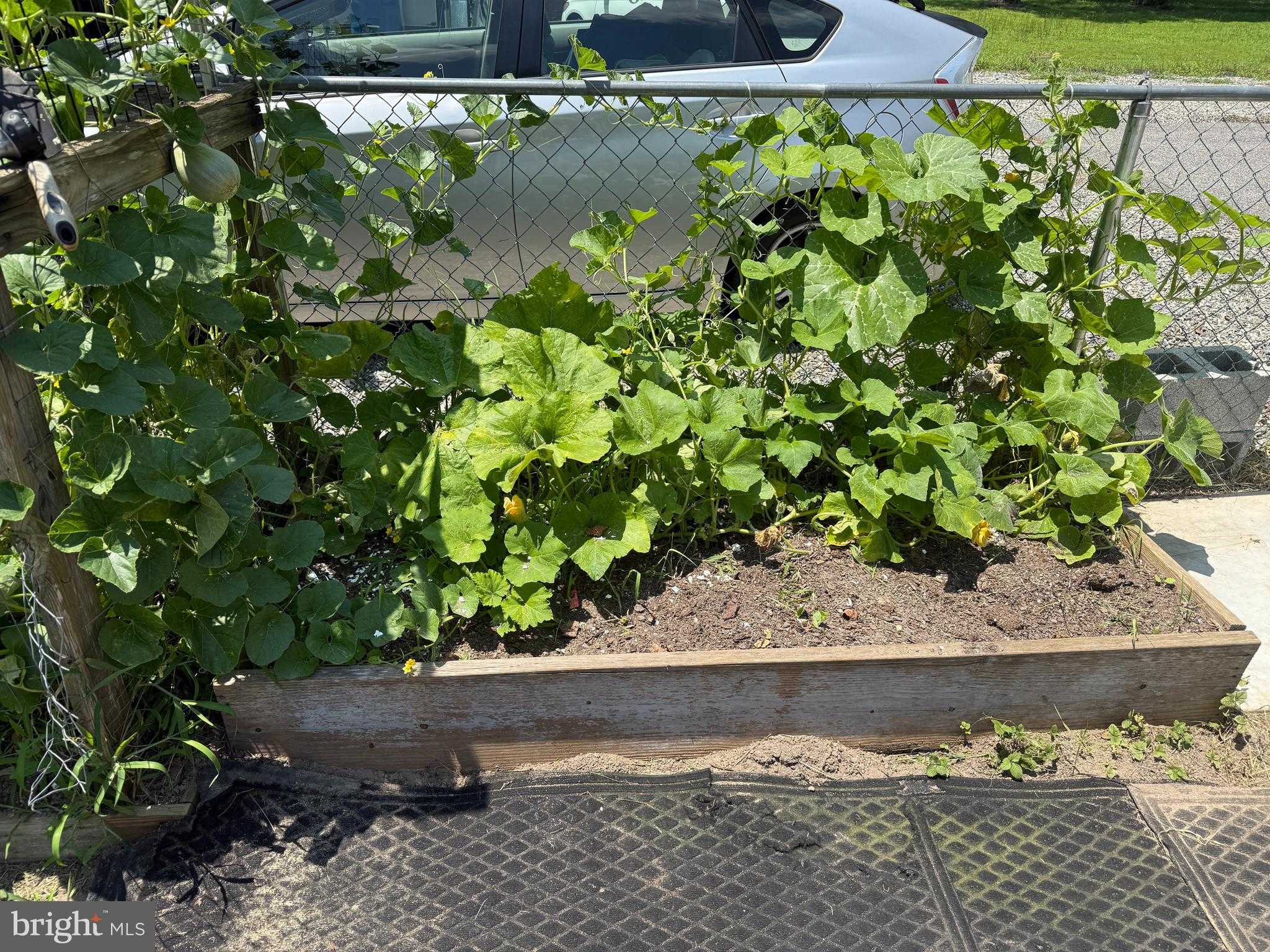 12226 Bristle Cone Ln photo 29