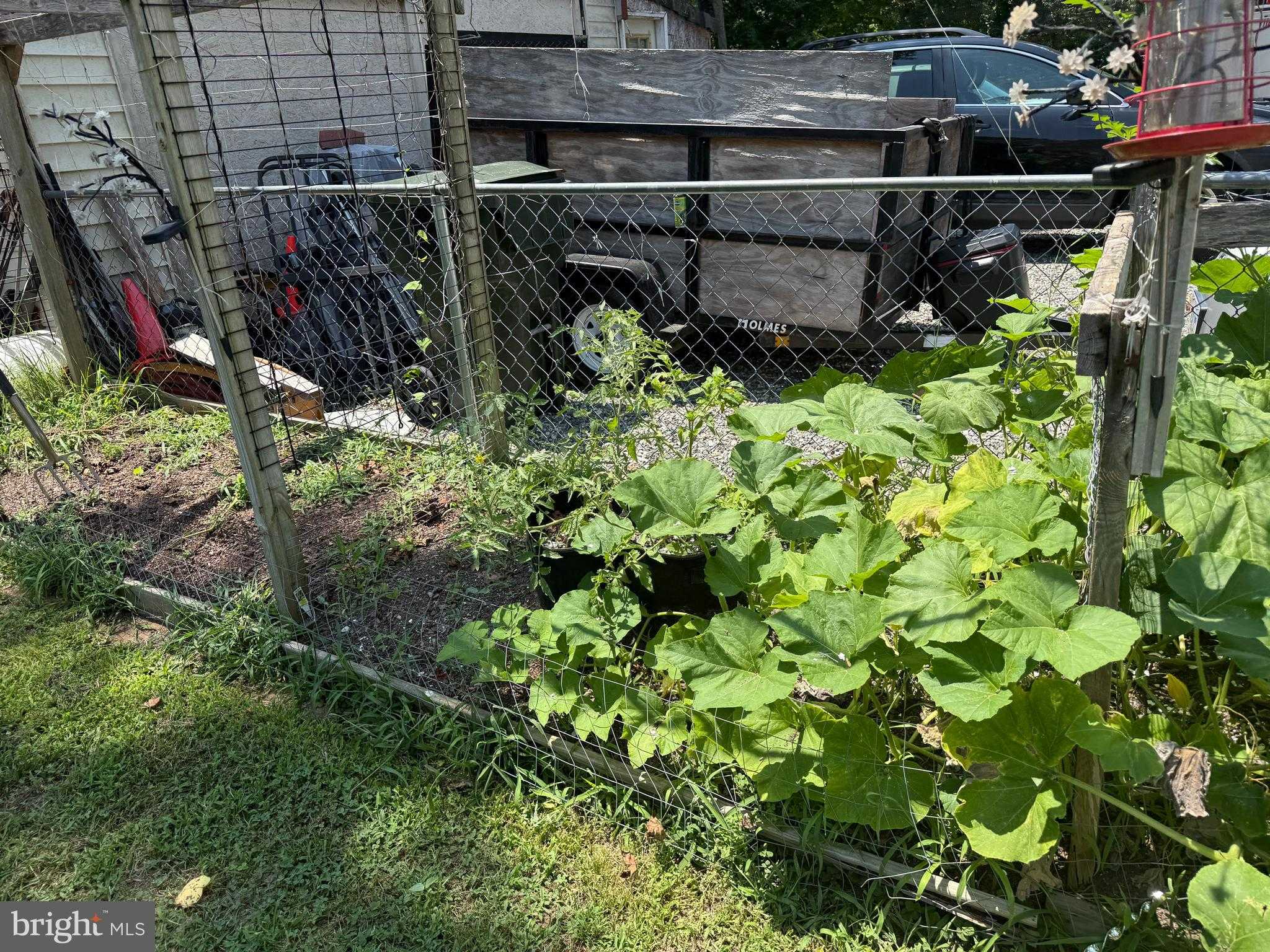 12226 Bristle Cone Ln photo 30