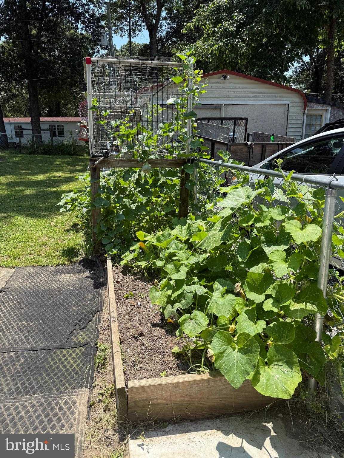 12226 Bristle Cone Ln photo 31