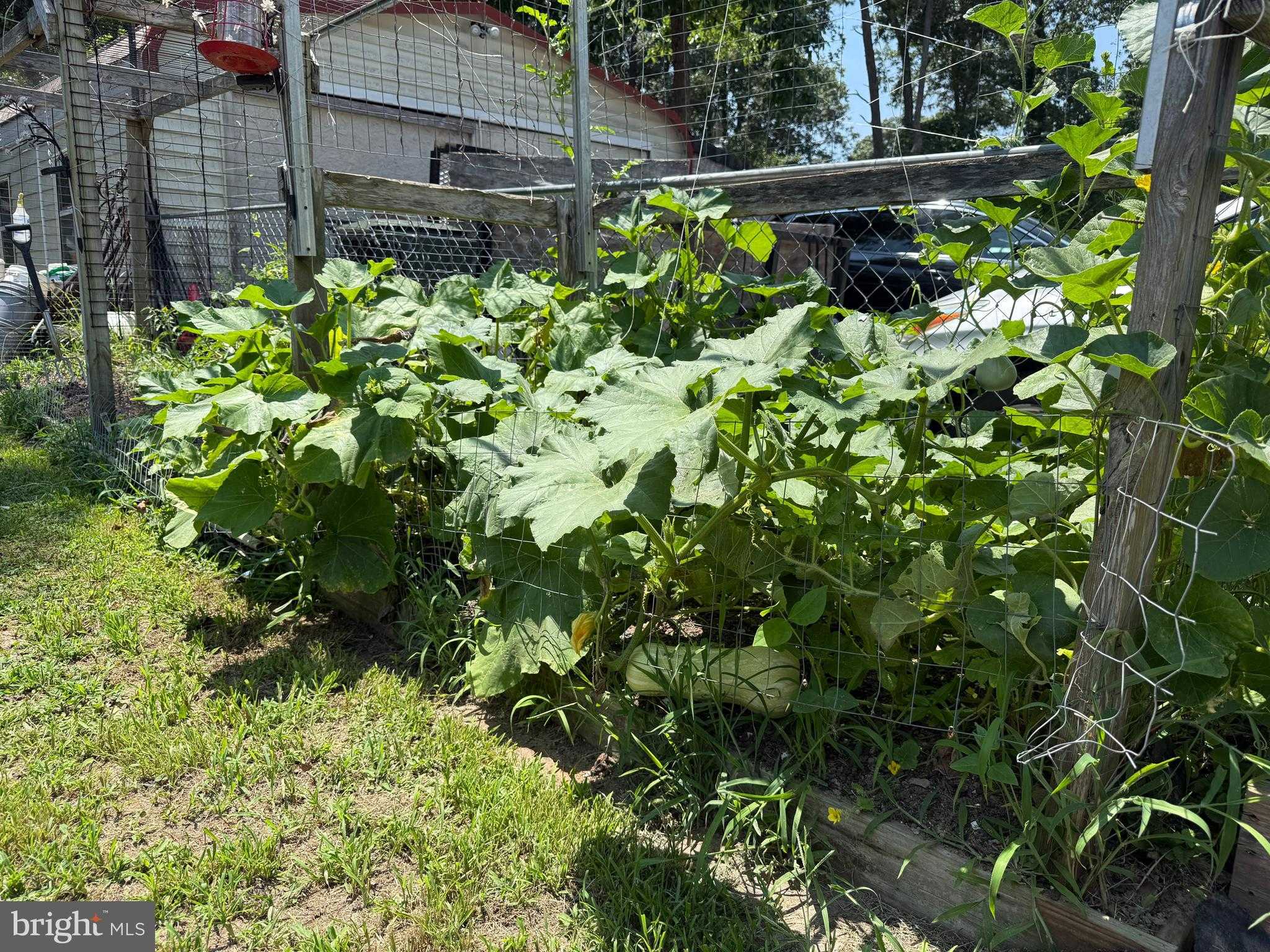 12226 Bristle Cone Ln photo 32