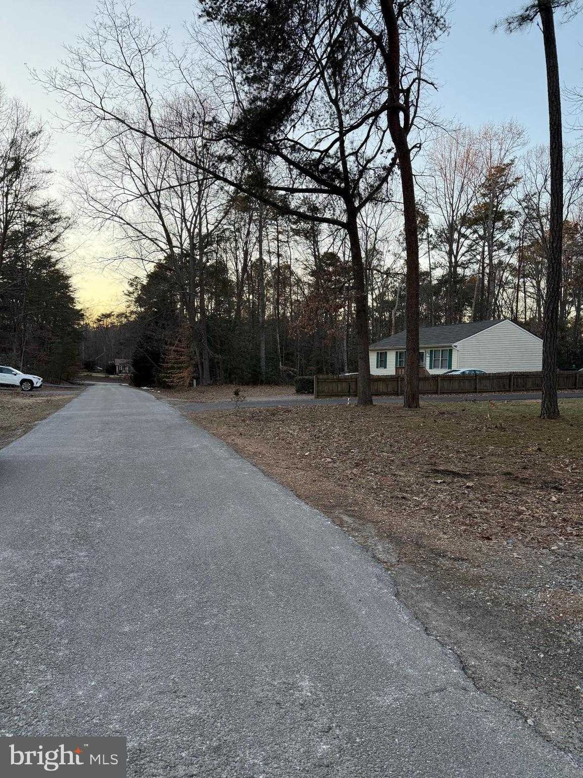 12226 Bristle Cone Ln photo 33