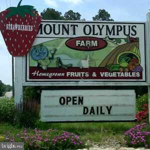 12226 Bristle Cone Ln photo 35