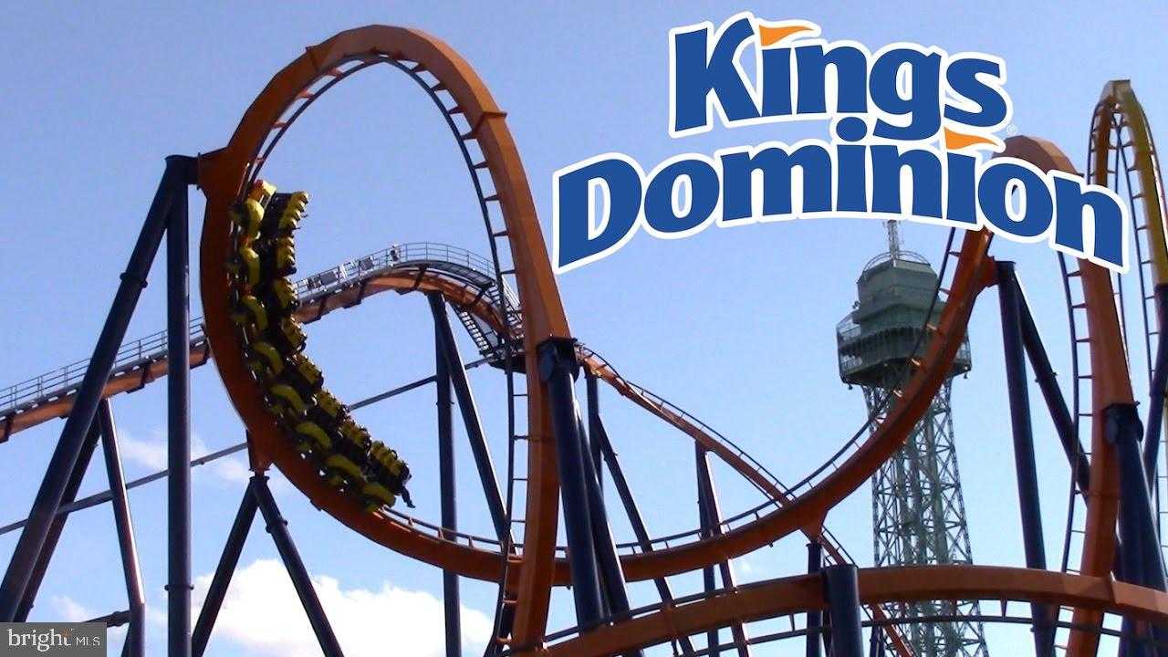 12226 Bristle Cone Ln photo 36