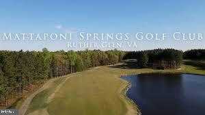 12226 Bristle Cone Ln photo 37