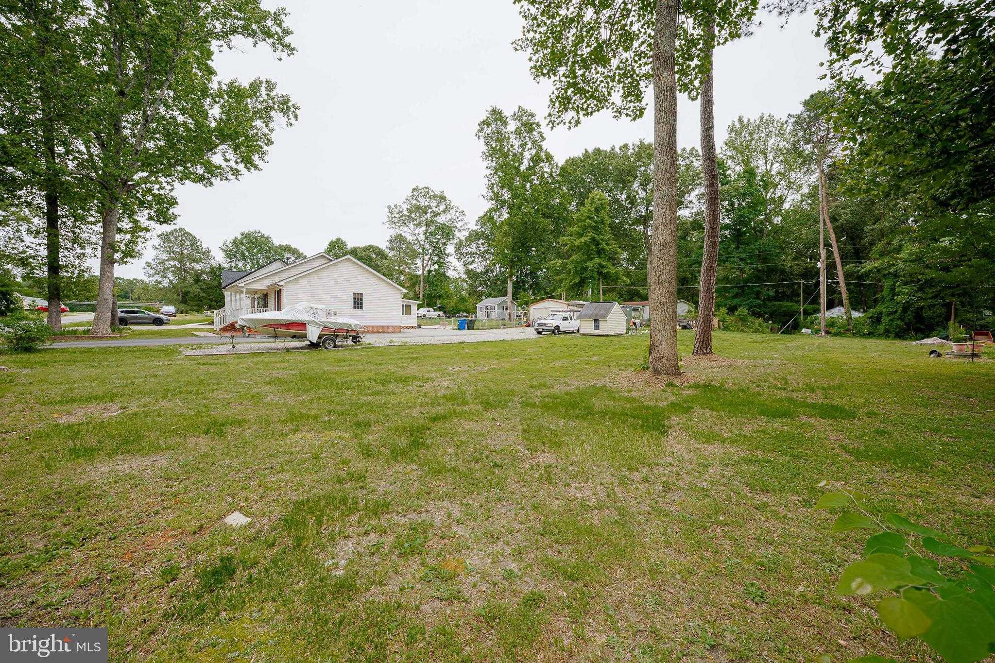 12226 Bristle Cone Ln photo 5