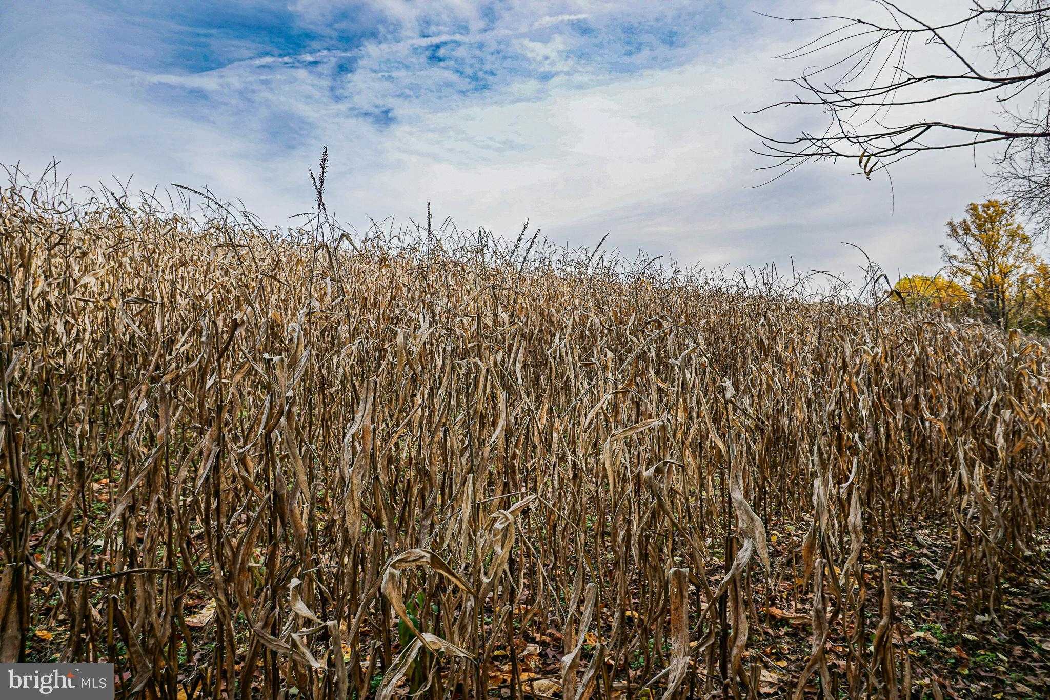 988 Kratz Rd photo 89