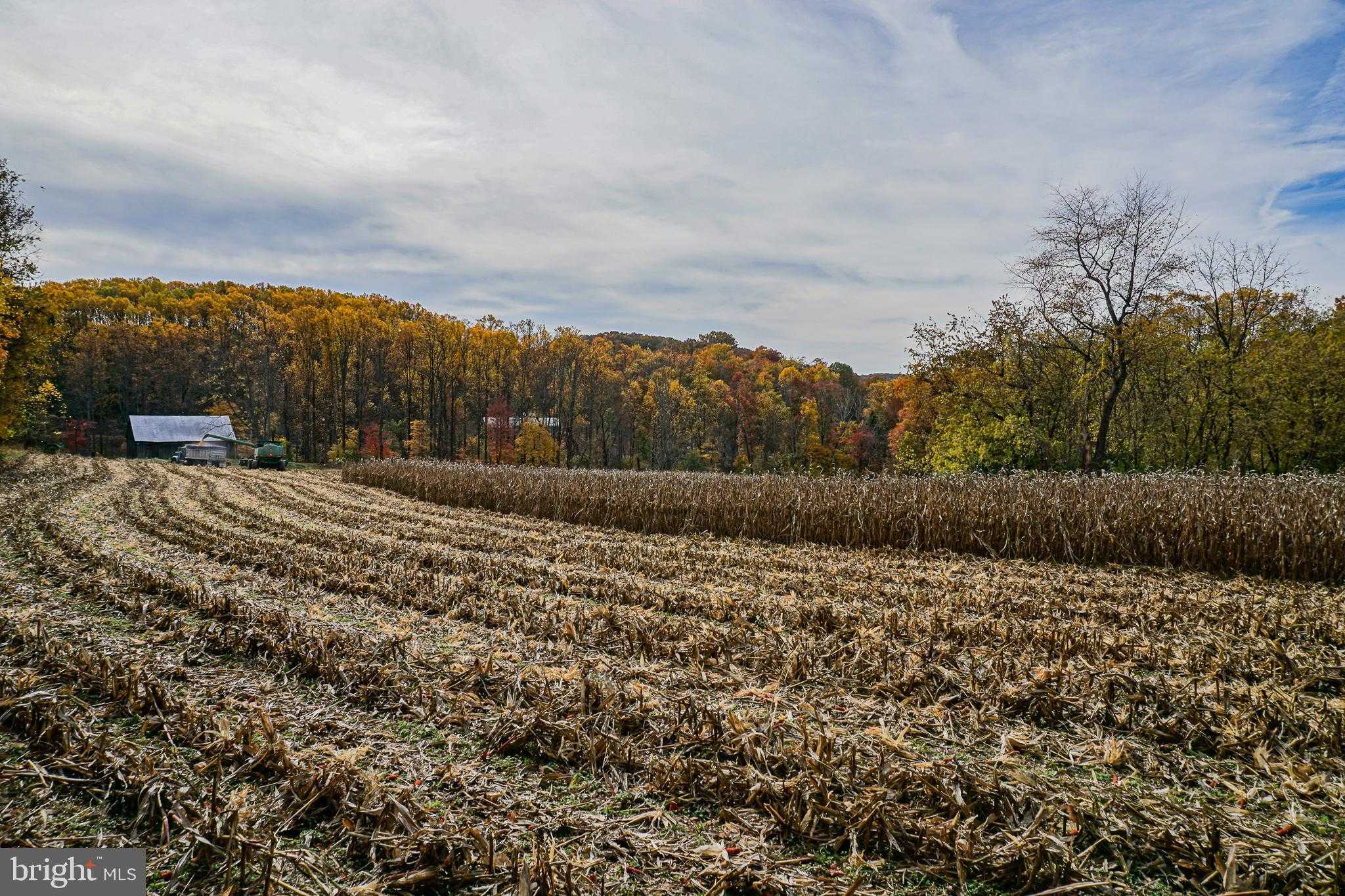 988 Kratz Rd photo 91