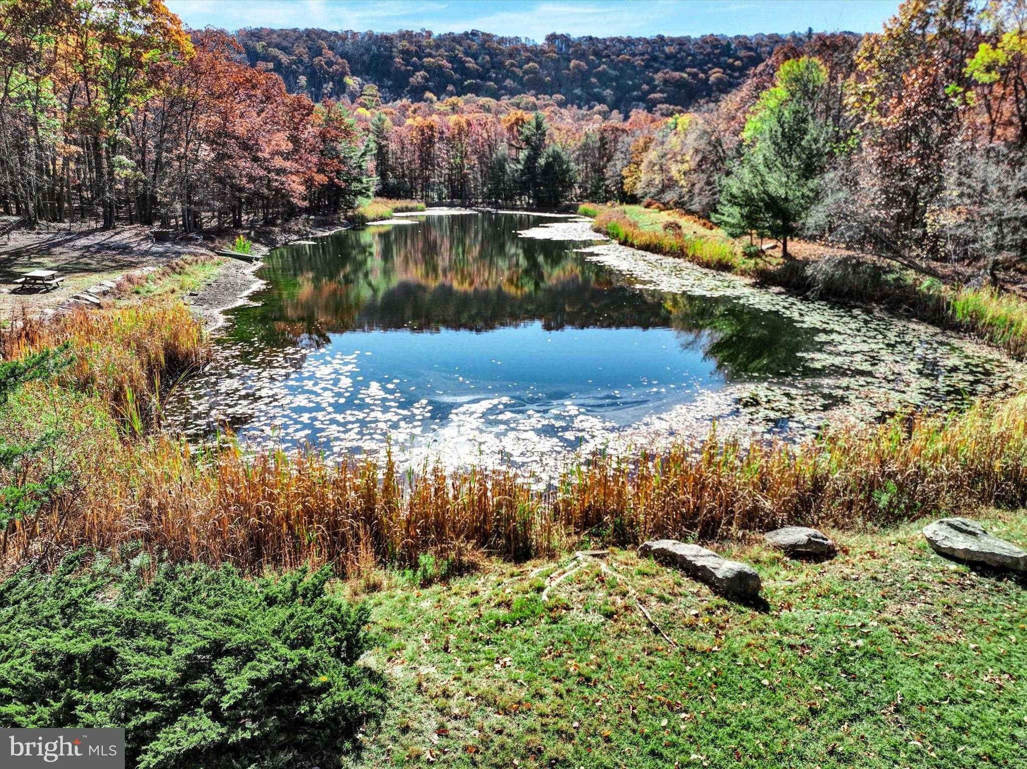 79 St Mortz Dr photo 6