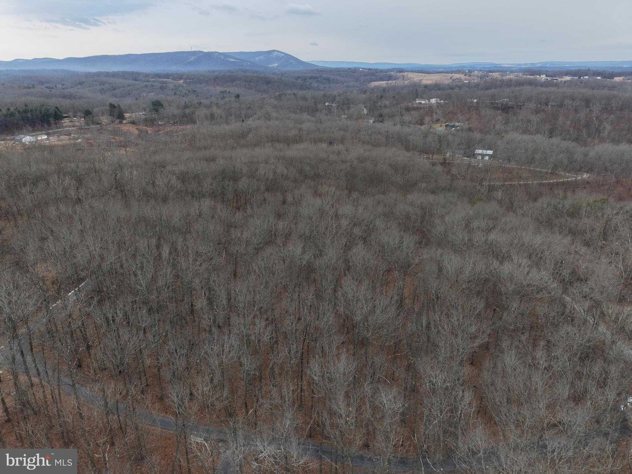 420 Coon Hollow Trl photo 21