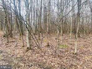 15 Bethlehem Rd photo 5