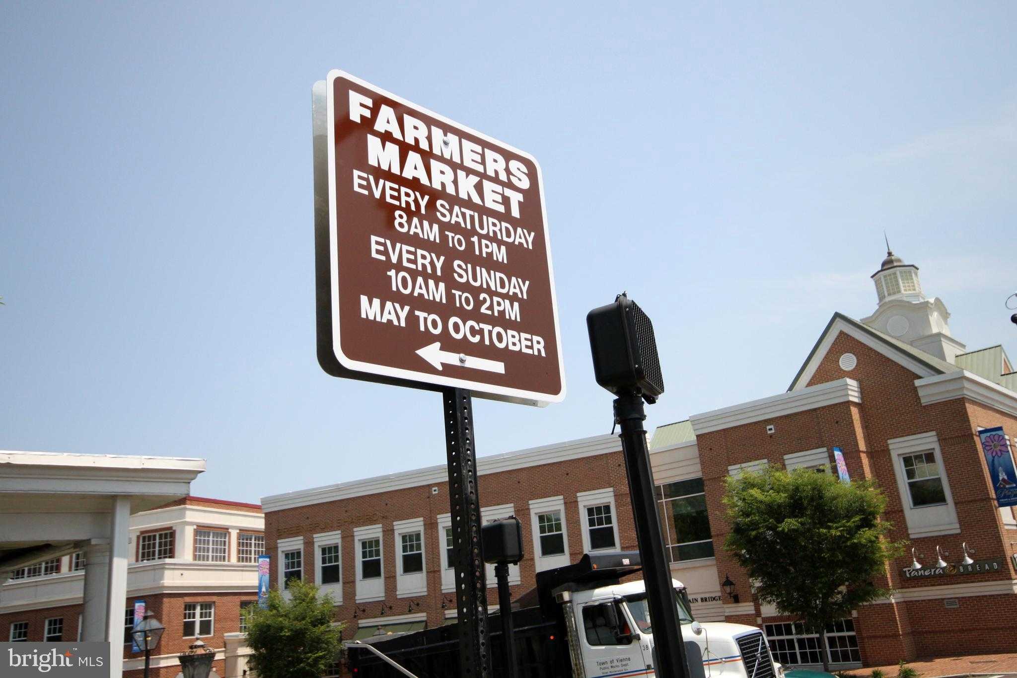 10811 Orchard St photo 82