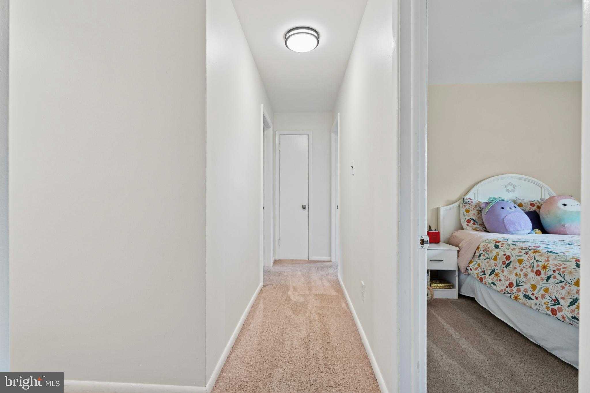 41 S Spring Ln photo 26