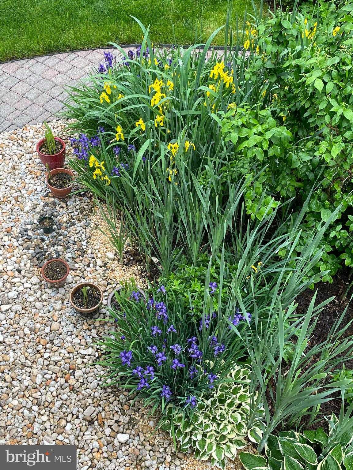 2301 Warner Rd photo 44