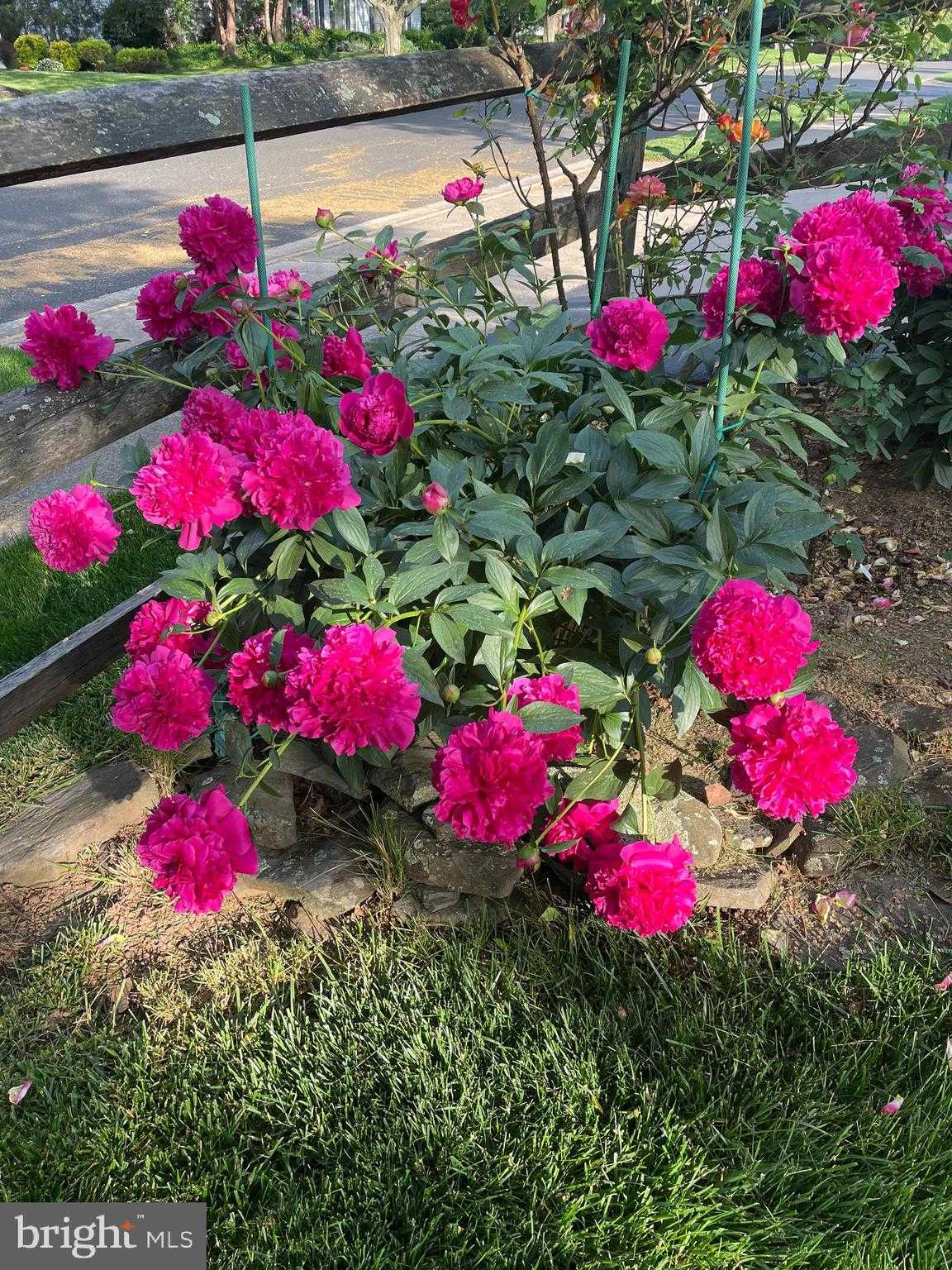 2301 Warner Rd photo 45