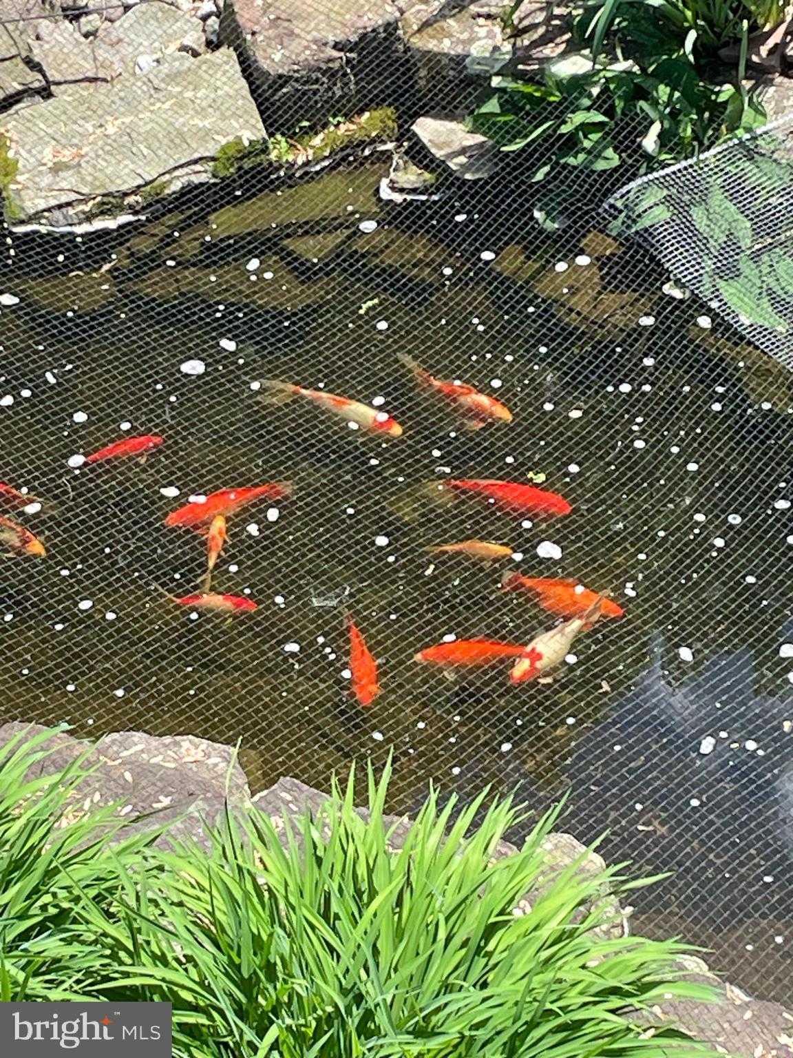 2301 Warner Rd photo 49