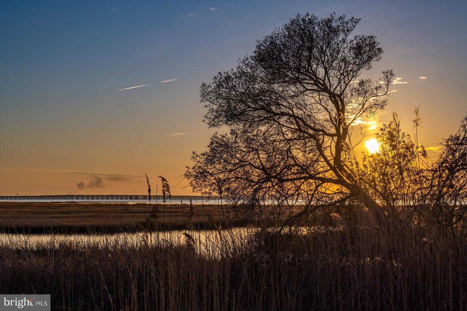 106 83rd St # 30802 photo 77