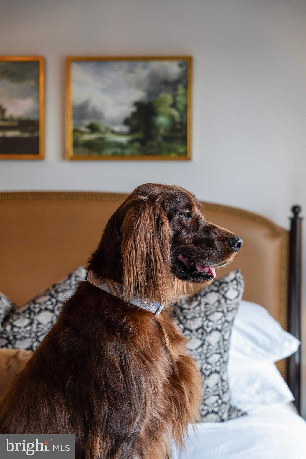 212 S King St photo 14