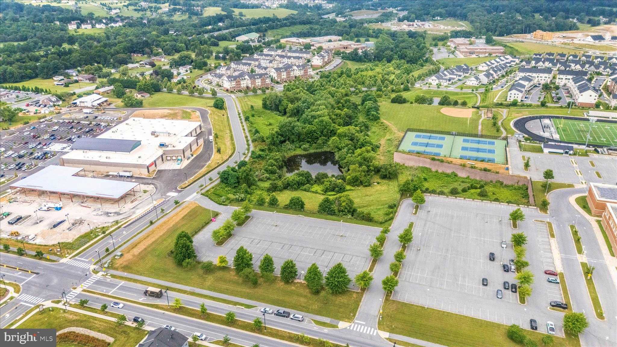 6035 Fallfish CT photo 81