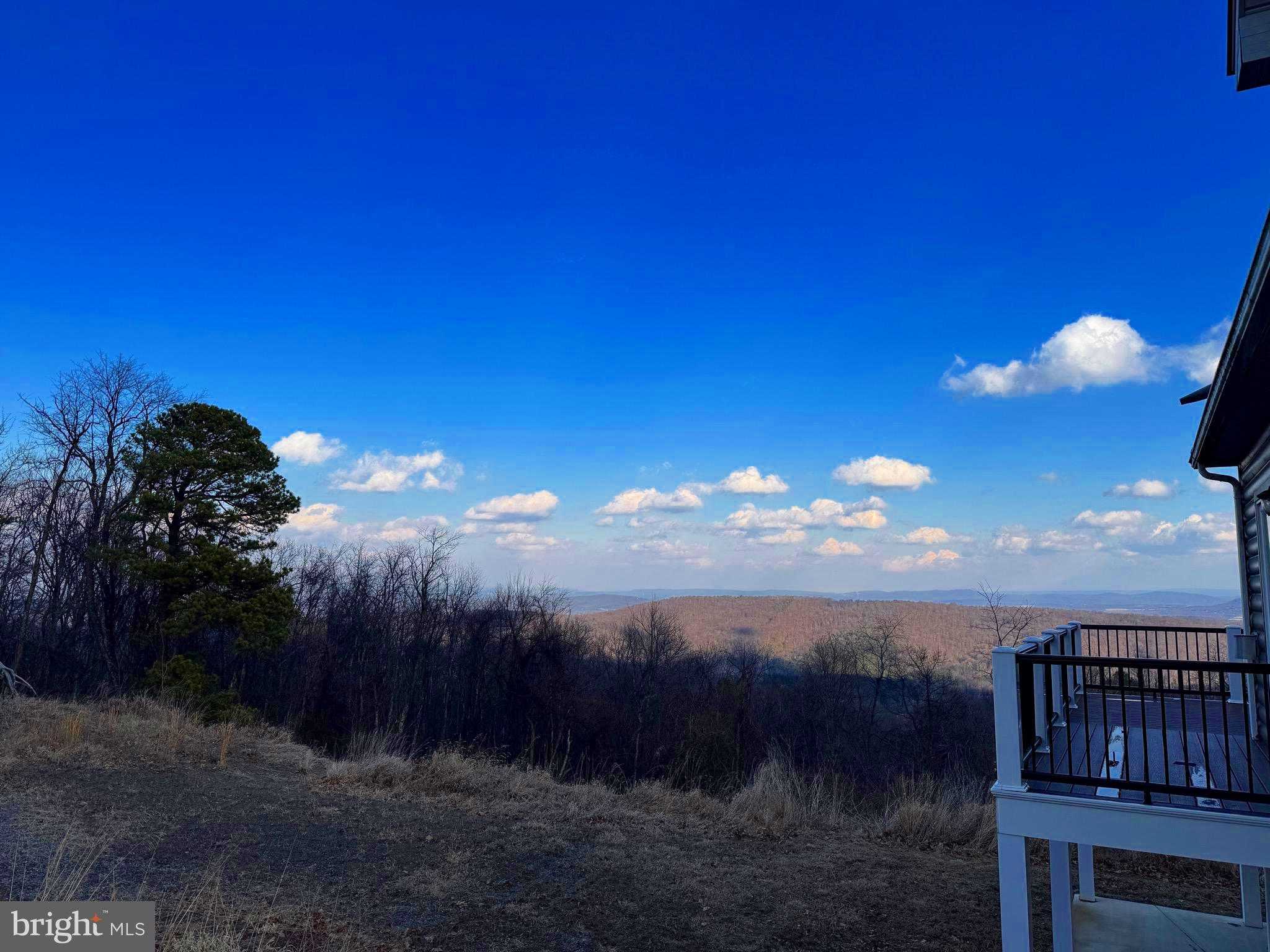 114 Nathaniel Dr photo 55