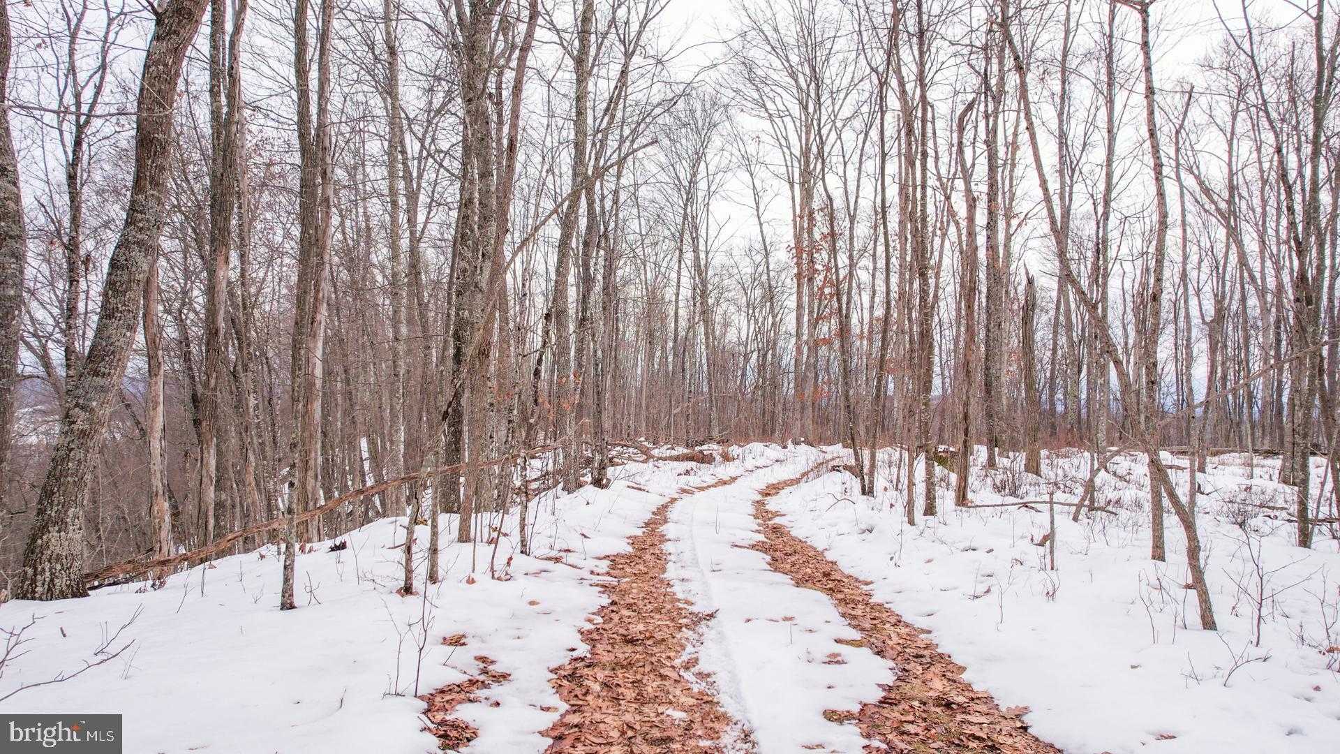 0 MODOC ROAD photo 12