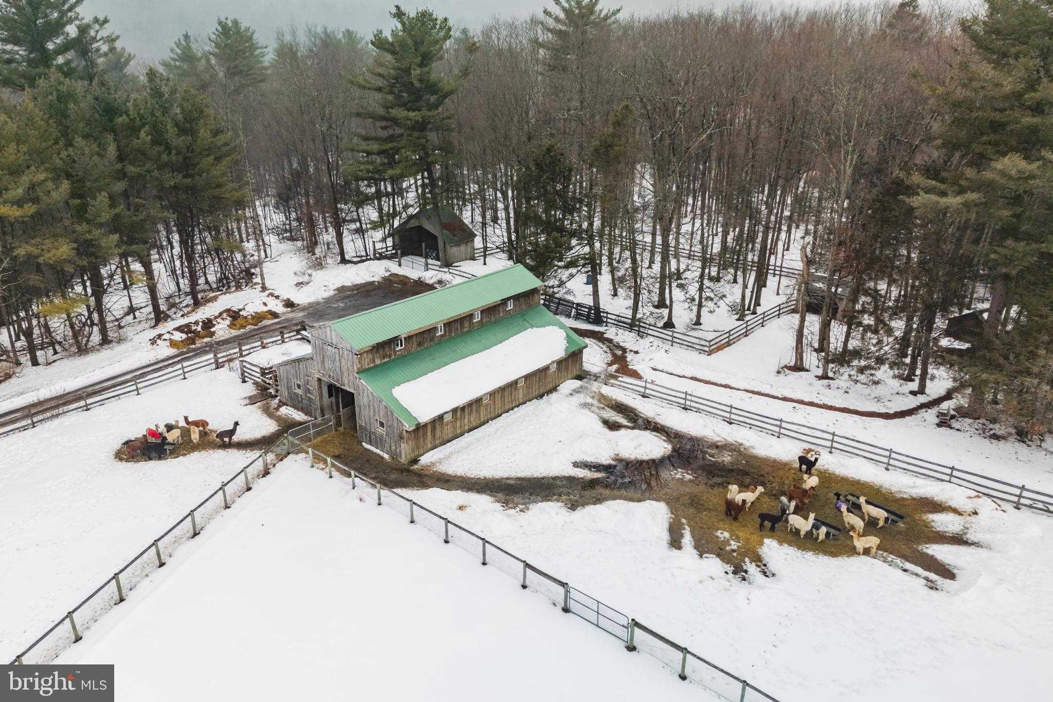 216 Merwinsburg Rd photo 58