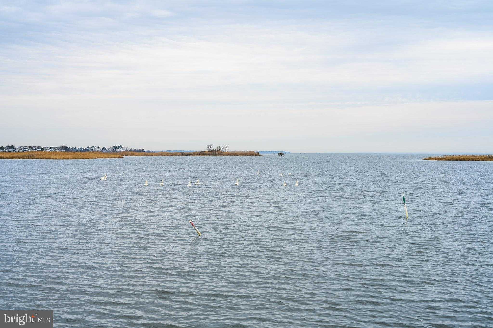 109 Bayview photo 43