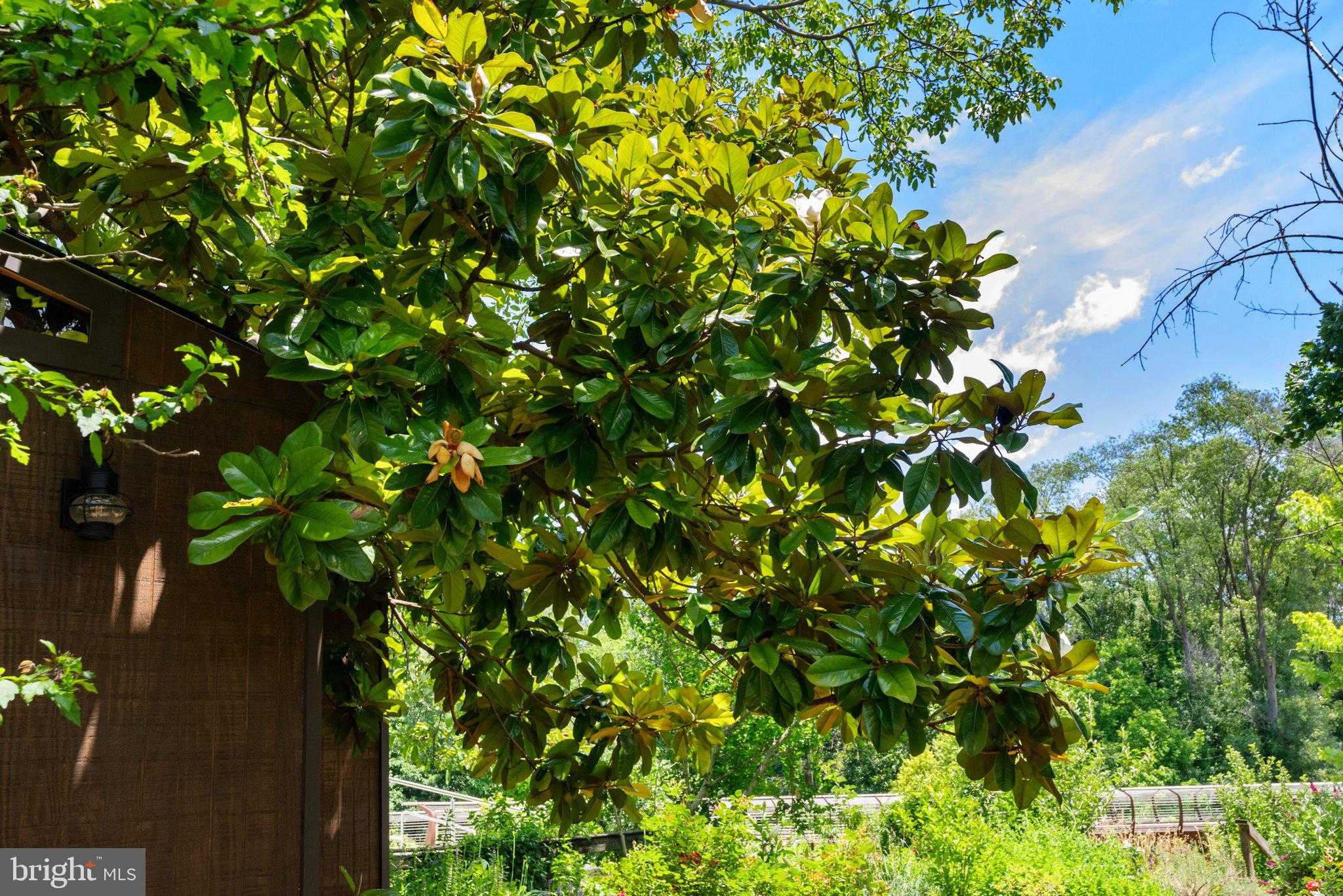 720 S Kent St photo 72