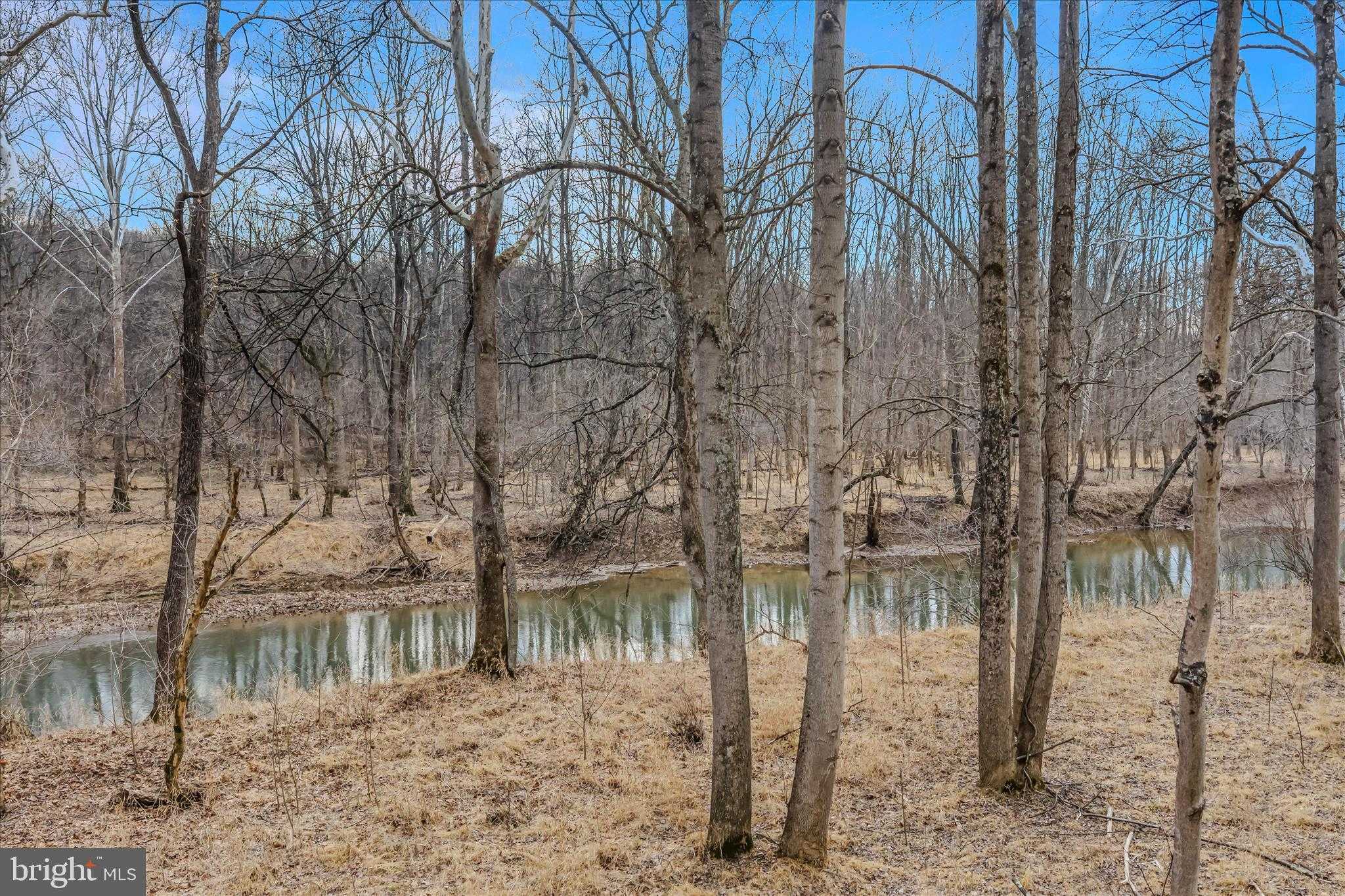 292 Big Park Rd photo 4