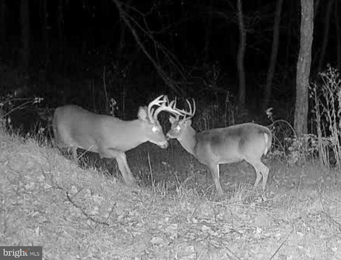 1800 Longview Dr photo 72