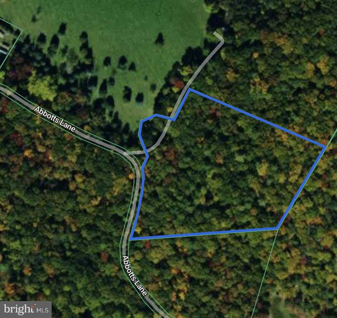 301 Abbotts Ln photo 7