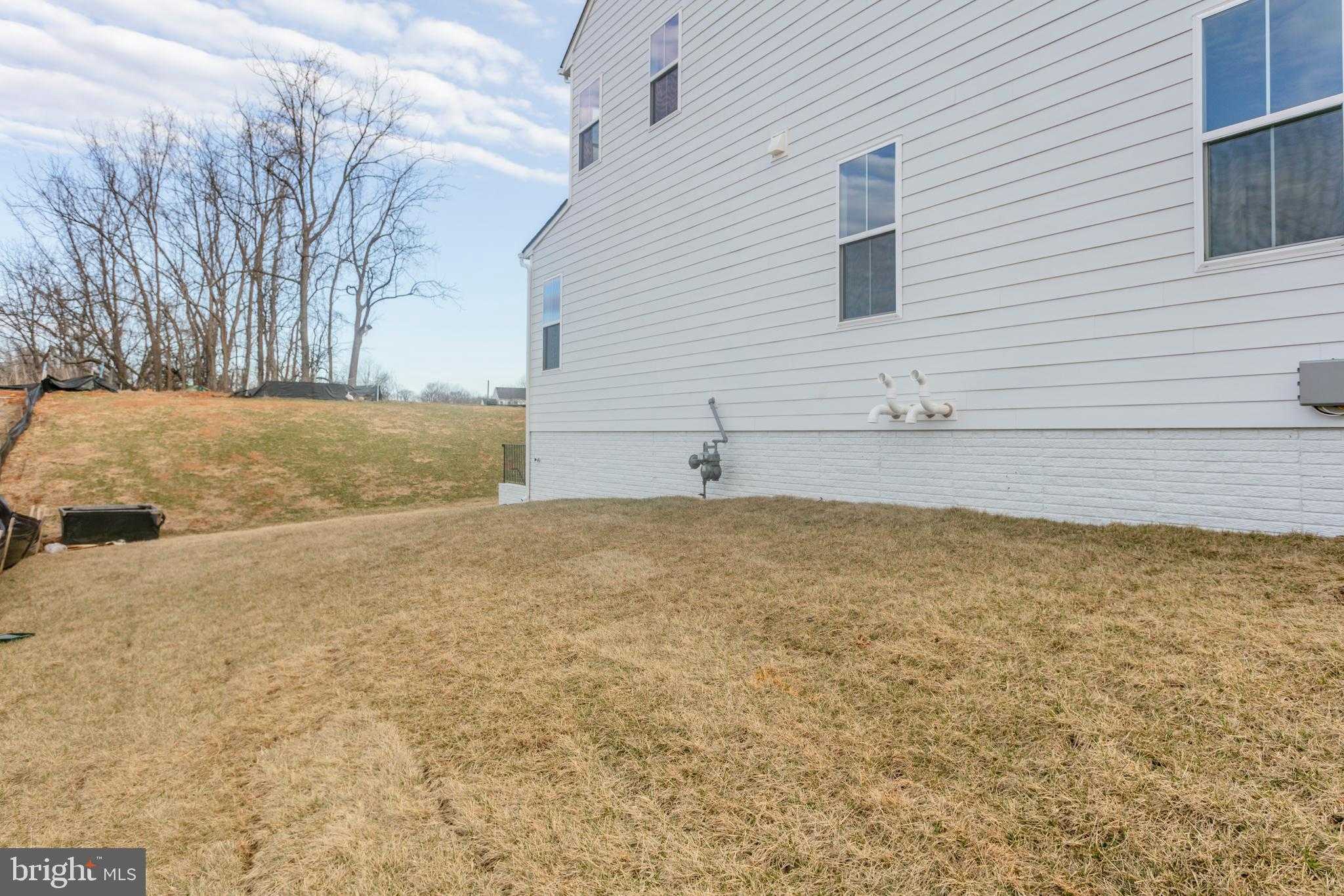 23786 Indigo Bunting CT photo 71