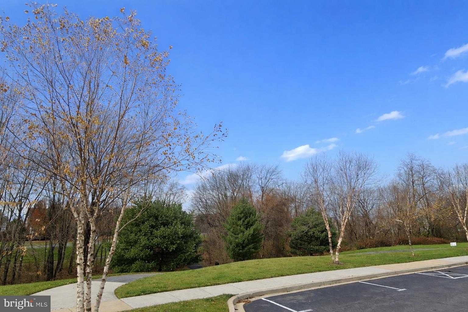 3641 Spring Hollow Ln photo 39